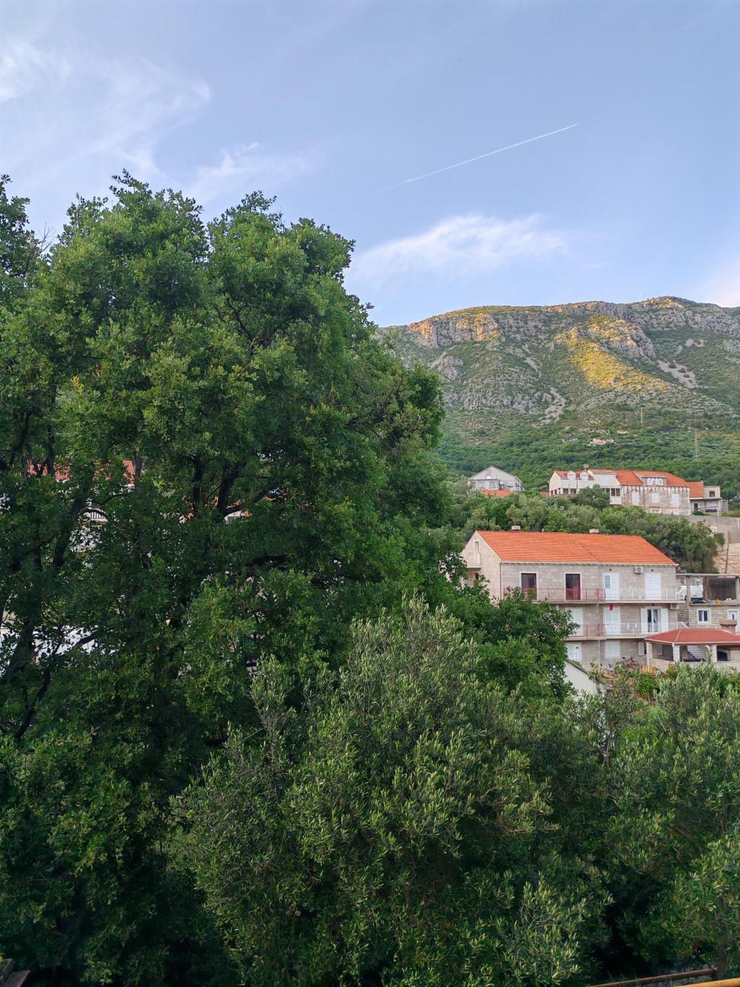 Apartment Oscar Mokošica Quarto foto